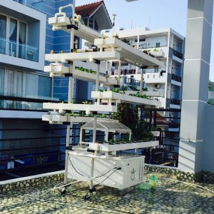 Dàn thủy canh thông minh, ứng dụng IOT