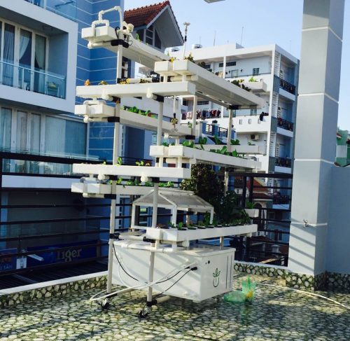 Dàn thủy canh thông minh, ứng dụng IOT